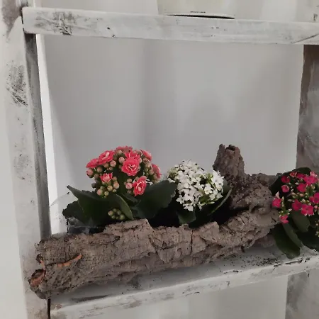 Apartamento Casa Cruz *