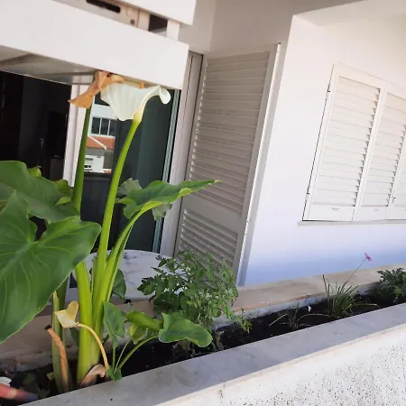 Appartement Casa Cruz Albufeira
